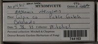 Image Associated With the Occurence